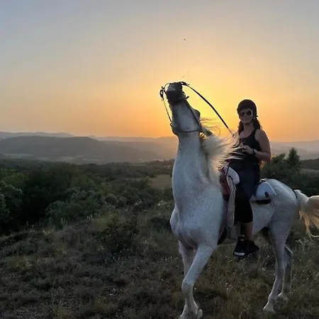 Terra Del Congost - En La Naturaleza Frente Al Congost De Montrebei Campsite